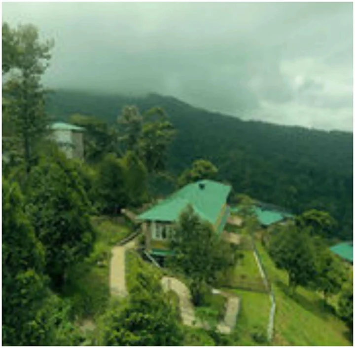 Муннар: Spicetree Munnar