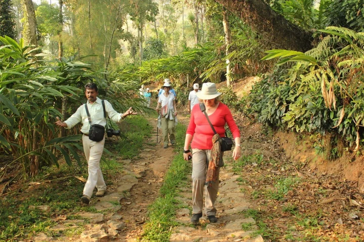 Муннар: Spicetree Munnar