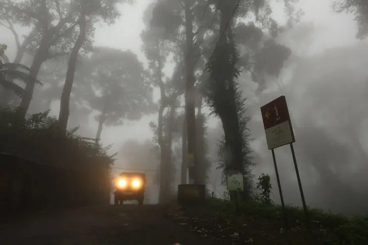 Муннар: Spicetree Munnar