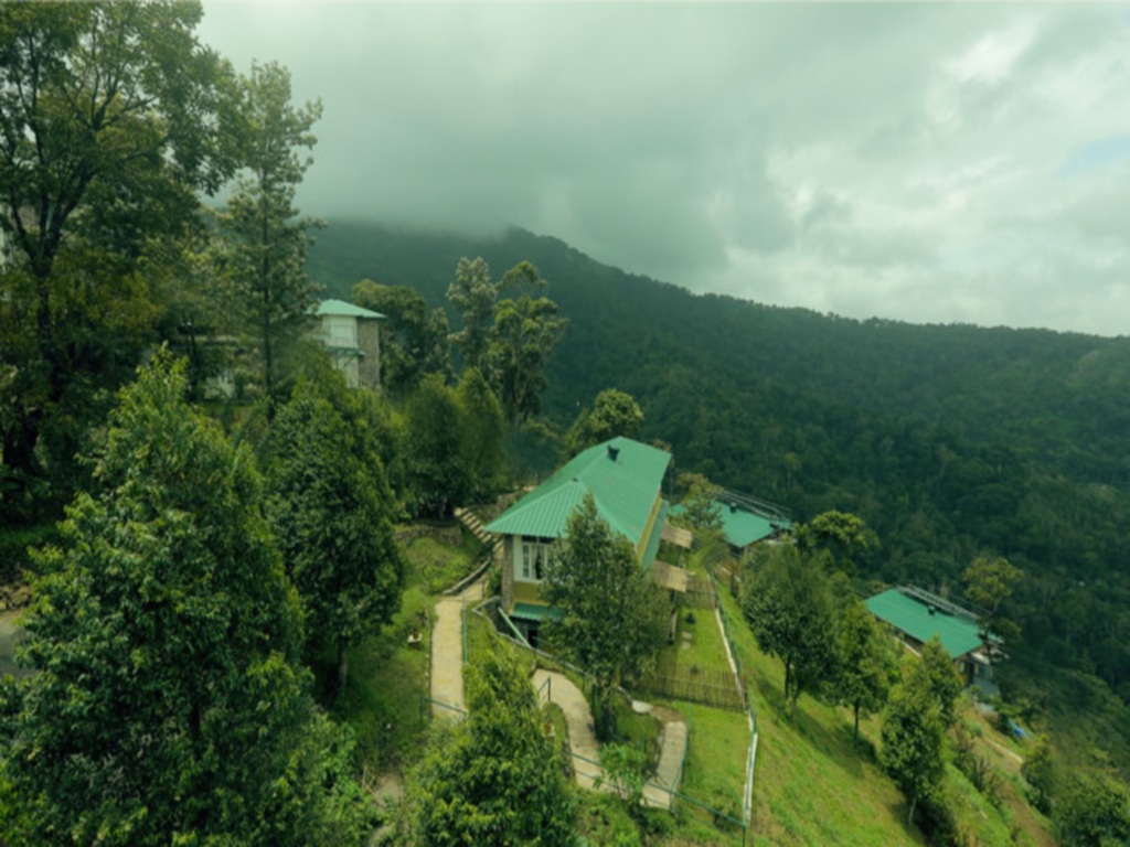 Муннар: Spicetree Munnar