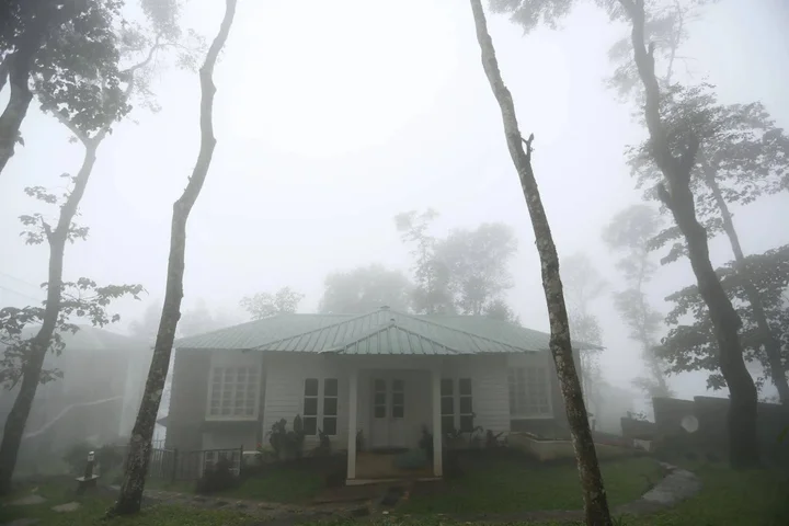 Муннар: Spicetree Munnar