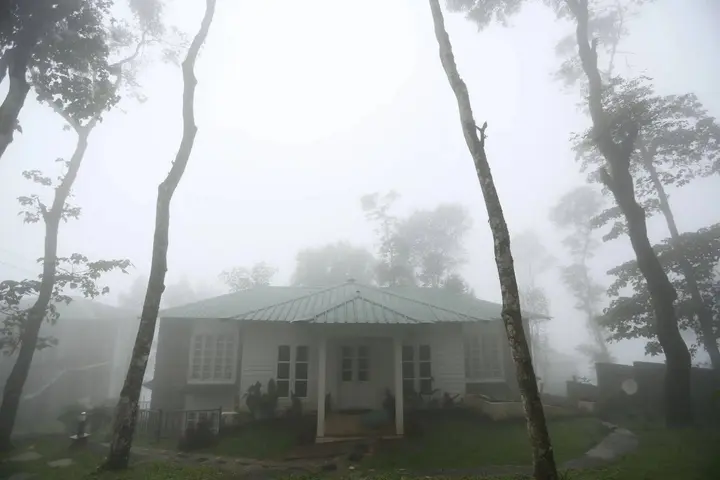 Муннар: Spicetree Munnar