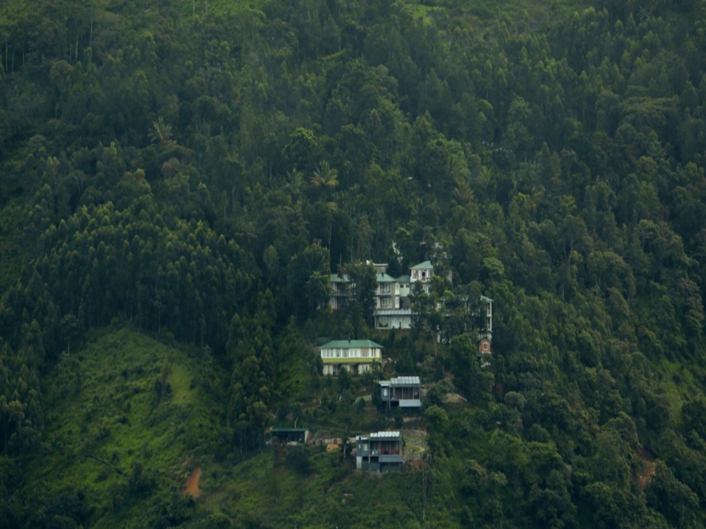 Муннар: Spicetree Munnar