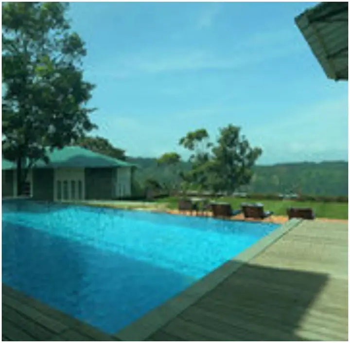 Муннар: Spicetree Munnar