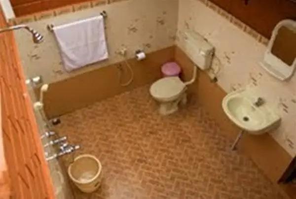 Аллеппи: Dazzle Dew Resort