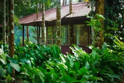 Шиккамагалуру: Shanthi Kunnj Homestay