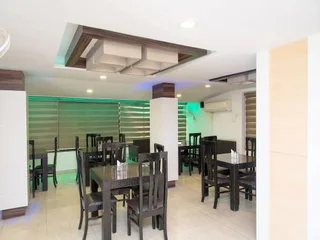 Удаипур: Hotel Green View International