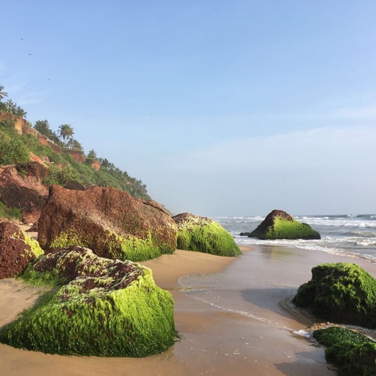 Варкала: Отель Blooming Bay - Clifftop Beach Resort