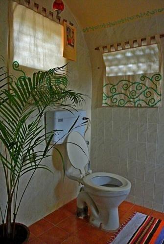 Анджуна: Village Villa "Sunny Cow"