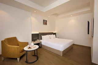 Фаридабад: Delite Sarovar Portico Faridabad