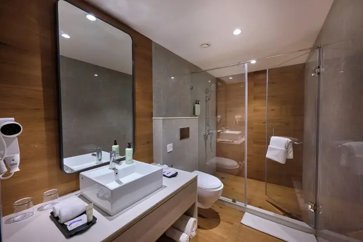 Фаридабад: Delite Sarovar Portico Faridabad