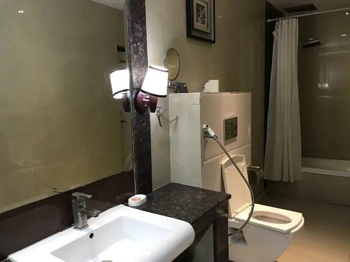 Фаридабад: Delite Sarovar Portico Faridabad