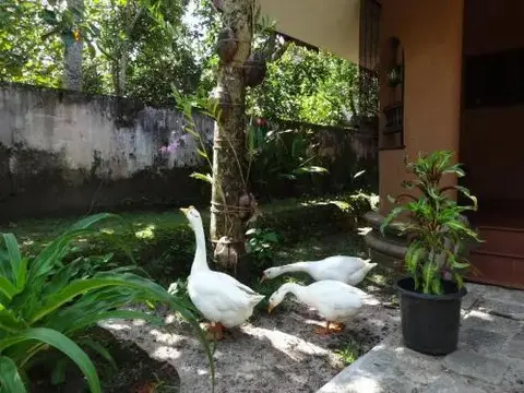 Аллеппи: Pagoda Heritage Inn