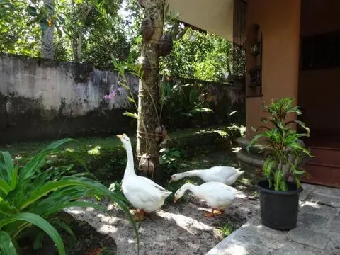 Аллеппи: Pagoda Heritage Inn