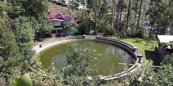 Кодайканал: Lilly's Valley Resort