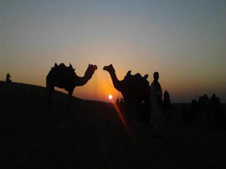 Джайсалмер: Tripvillas @ Desert Safariors Jaisalmer