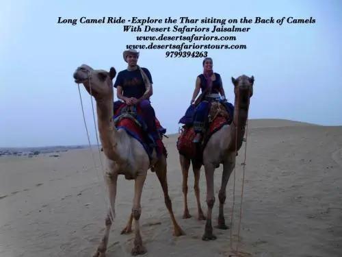 Джайсалмер: Tripvillas @ Desert Safariors Jaisalmer