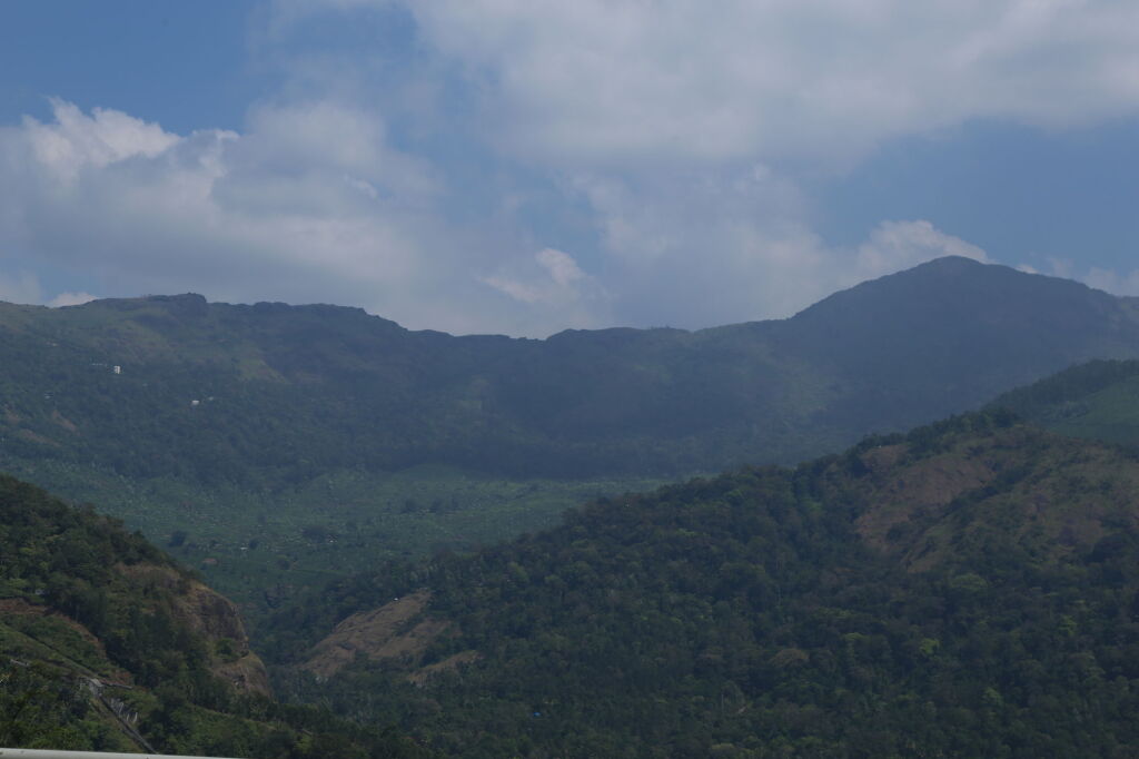 The Munnar Queen — фото 6