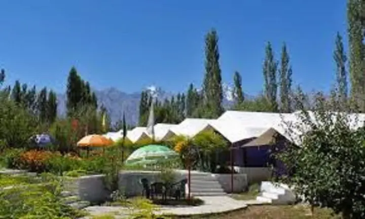 Хундер: Tiger Camp