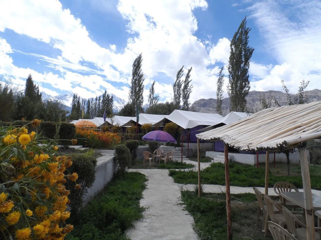 Хундер: Tiger Camp