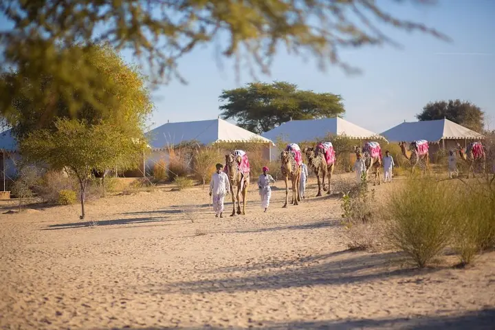 Khiyansaria: Manvār Shergarh, The Desert Resort