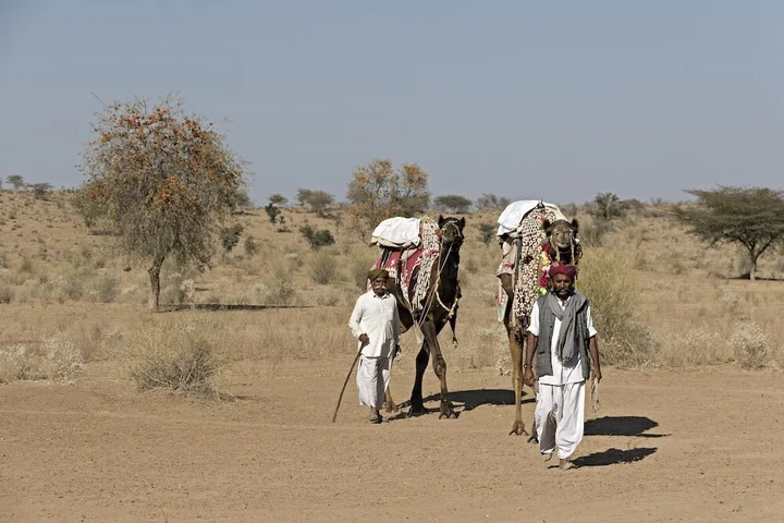 Khiyansaria: Manvār Shergarh, The Desert Resort