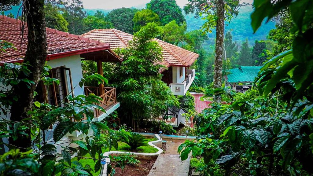 Кушалнагар: La Flora Jungle Hill Resort - Coorg