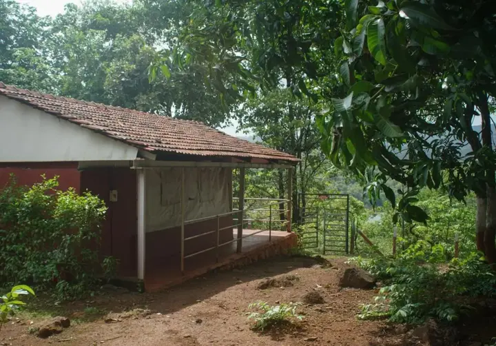 Амби Вэлли Сити: Nature Trails Kundalika, Kolad