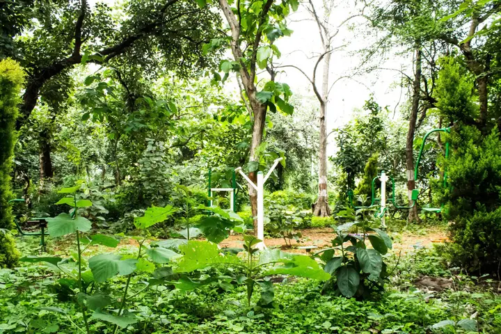 Чандрапур: Jharana Jungle Lodge