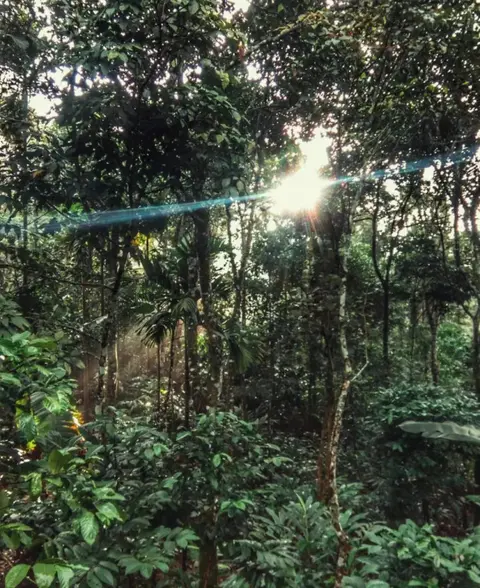 Куттикканам: Periyar Green Bed & Breakfast