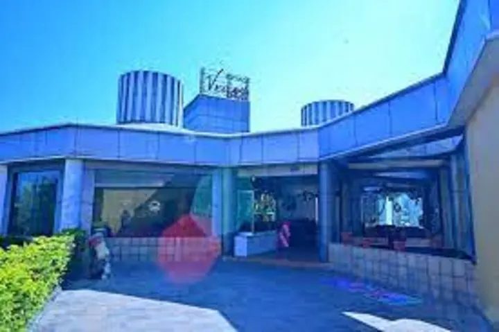 Сарола: Hotel Vegas