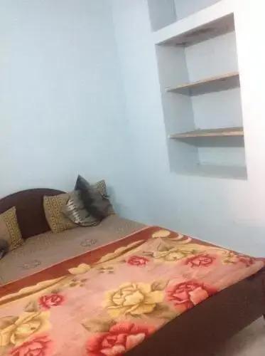 Джайсалмер: Jaisalmer Camel Safari Guest House.