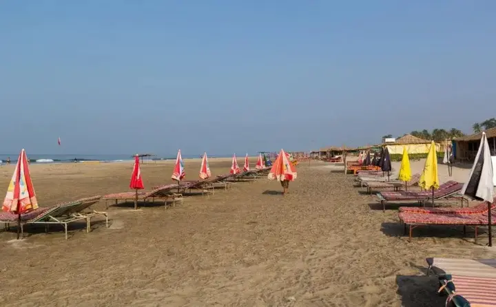 Вагатор: Retreat Anjuna Resort