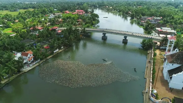 Чампакулам: Triveny River Palace