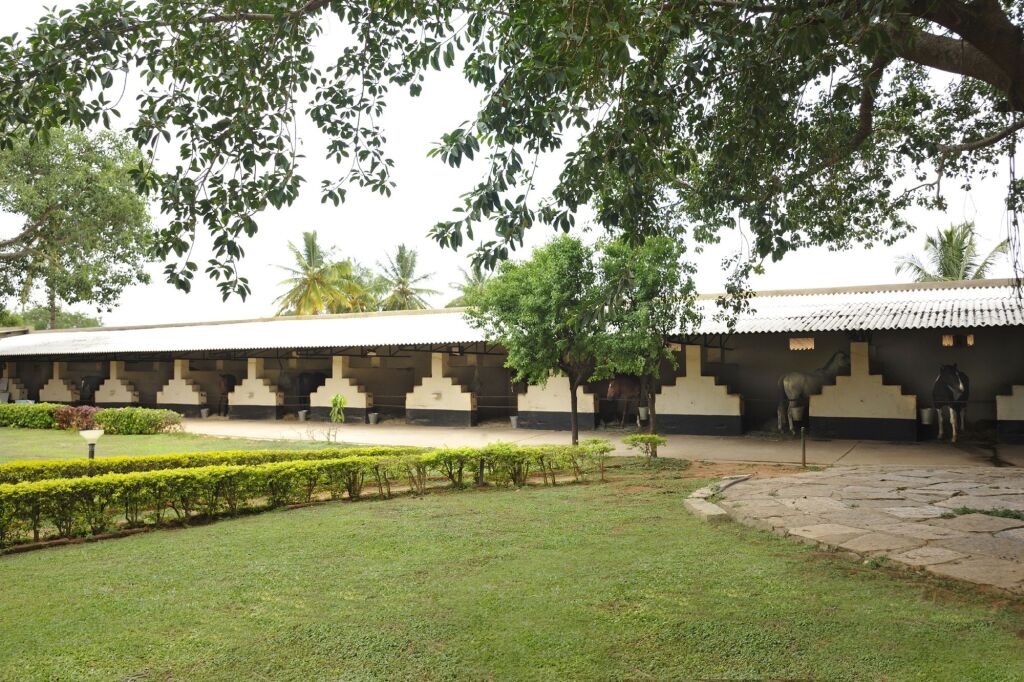 Chikkajala: Embassy International Riding School
