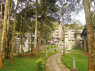 Куттикканам: The Mountain Courtyard Thekady
