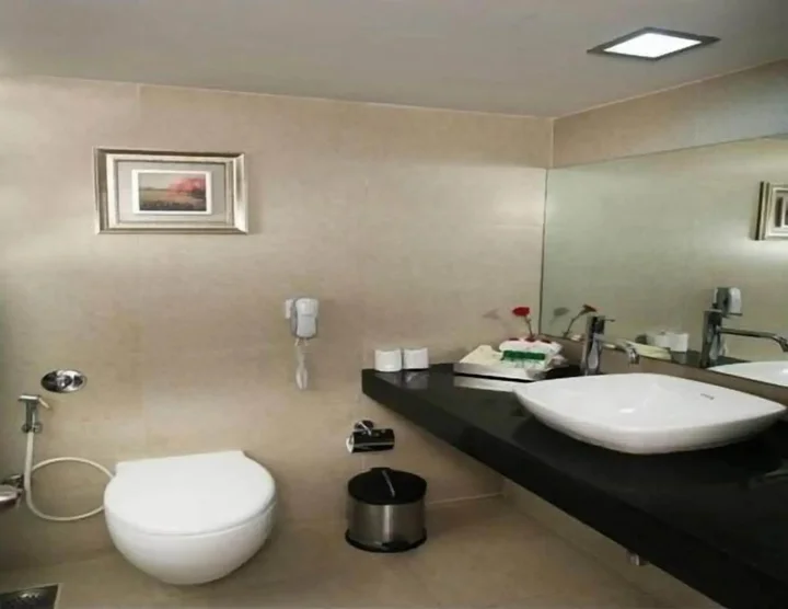 Хидерабад: Hotel Greenpark