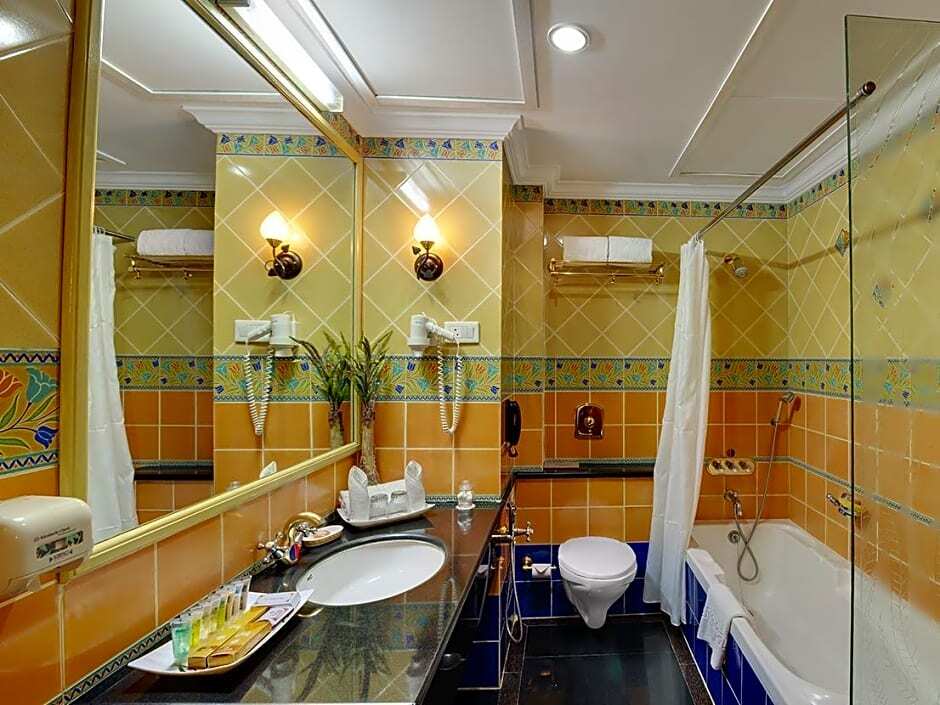Райпур: Hotel Babylon International