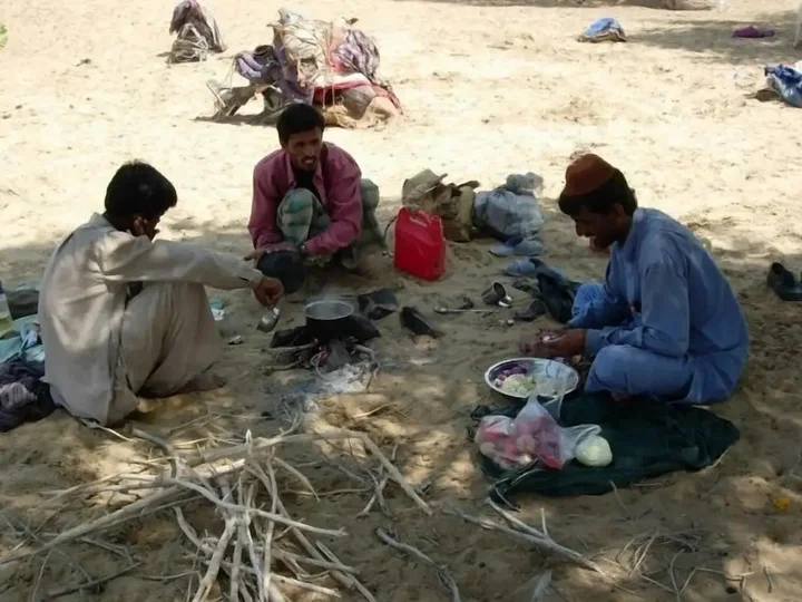 Джайсалмер: Yokoso Thar Desert Safari and Camp