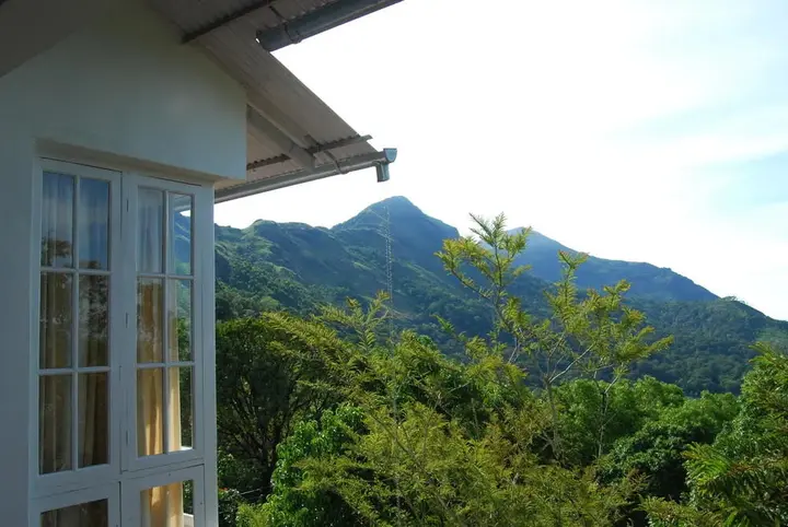 Муннар: Windermere Estate