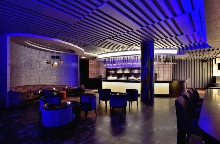 Хандала: Radisson Blu Plaza Resort & Convention Centre Karjat
