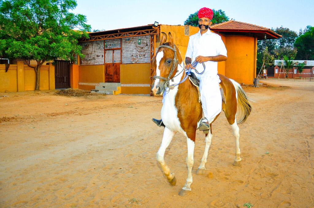 Хоспет: Vijayshree Resort And Heritage Village