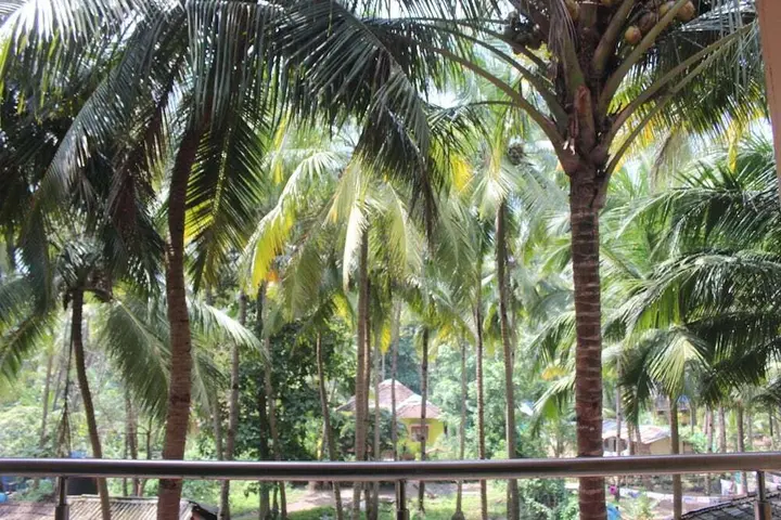 Южный Гоа: Sun N Moon Palolem Beach