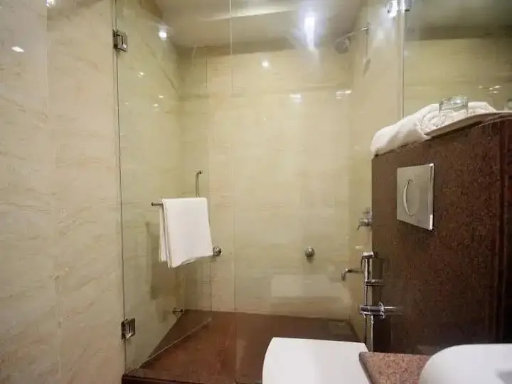 Ахмедабад: Hotel Naeeka