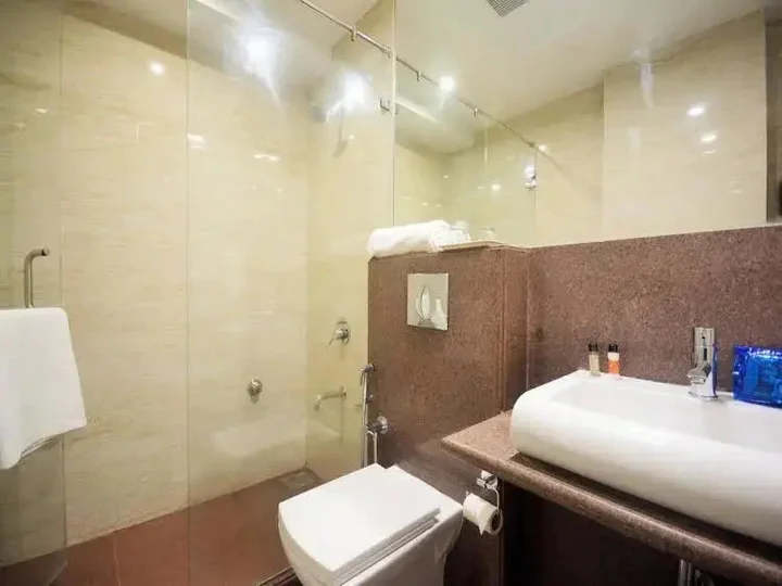 Ахмедабад: Hotel Naeeka