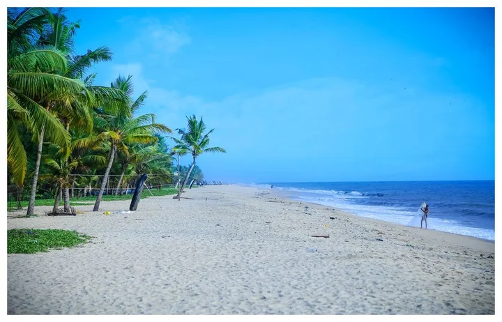 Калавур: Tree Leaf Marari Sands Beach Resort