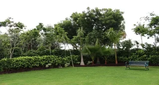 Вриндаван: Nidhivan Hotels & Resorts