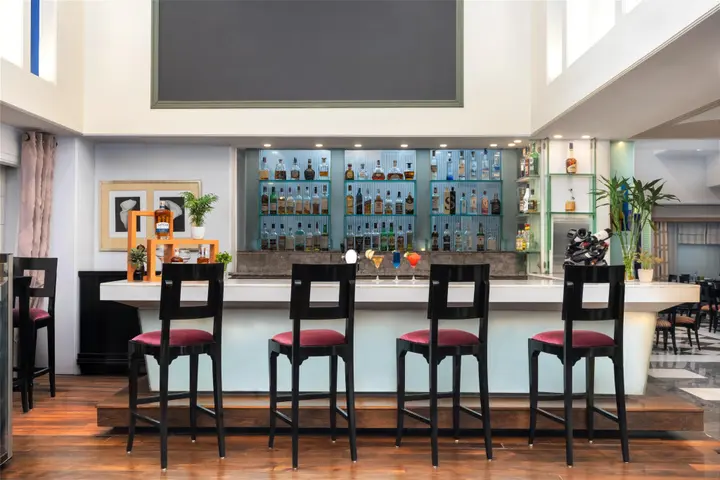 Гуруграм: Park Plaza Gurgaon