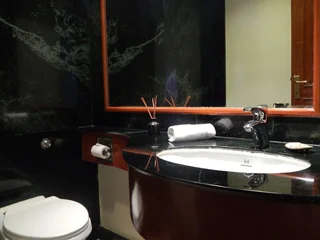 Пуна: The Central Park Hotel