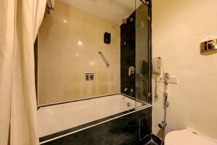 Пуна: The Central Park Hotel